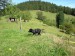 P9160012.jpg
